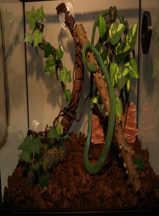 AQUA KT غصن ركن تسلق الزواحف من أكوا كي تي، بتصميم مستوحى من الغابات المطيرة، مناسب لتزيين أحواض الزواحف والثعابين والسحالي وسرطانات الناسك والتنانين الملتحية. - Image 2